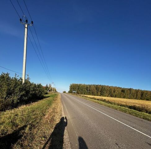 д Большое Ильинское снт Связист-М 31 фото