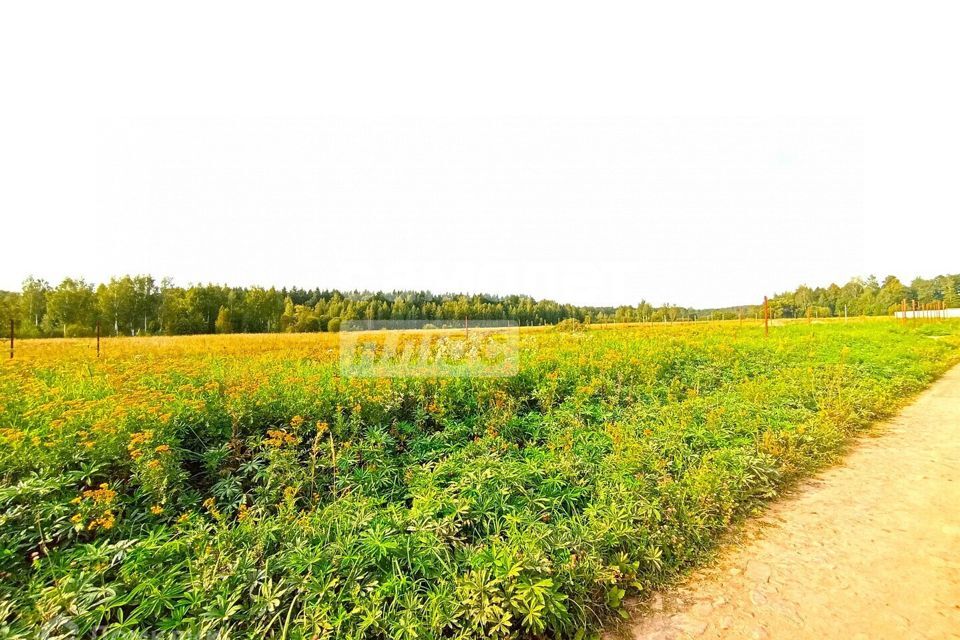 земля городской округ Воскресенск деревня Максимовка фото 6