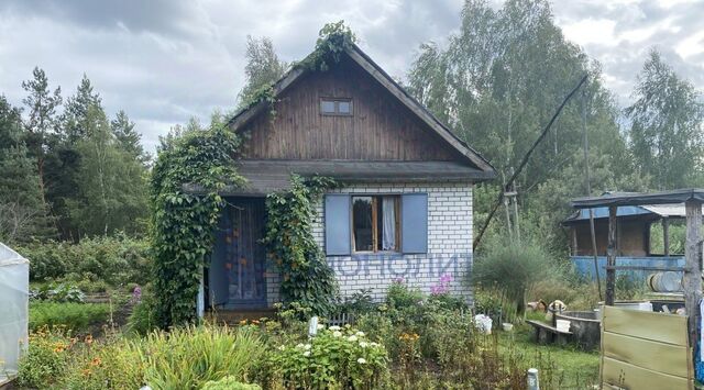 Березка объединения Волговятмашэлектроснабсбыт СНТ, Центральная линия фото