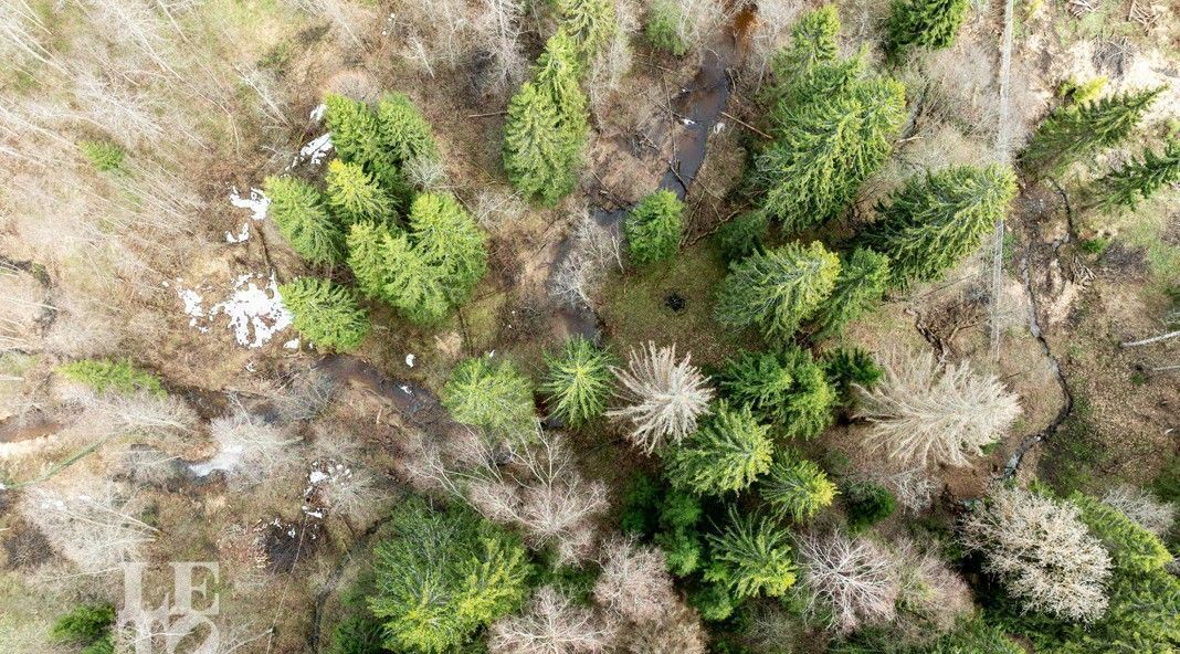 дом городской округ Истра д Леоново 4 фото 23