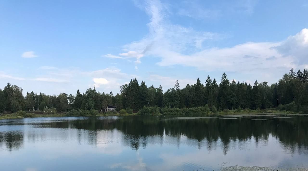 дом городской округ Дмитровский п Подосинки Объединение Дубровские Зори тер фото 12