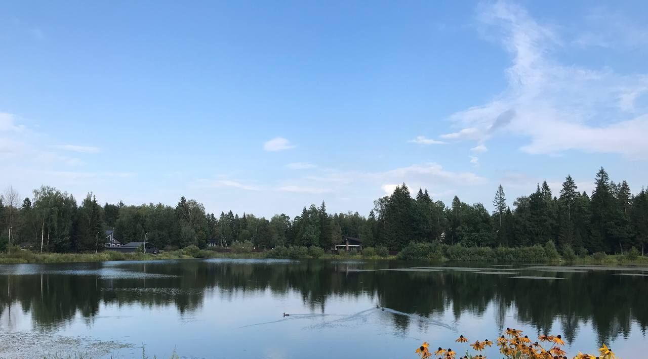 дом городской округ Дмитровский п Подосинки Объединение Дубровские Зори тер фото 14