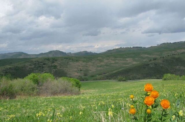 р-н Алтайский с Алтайское фото