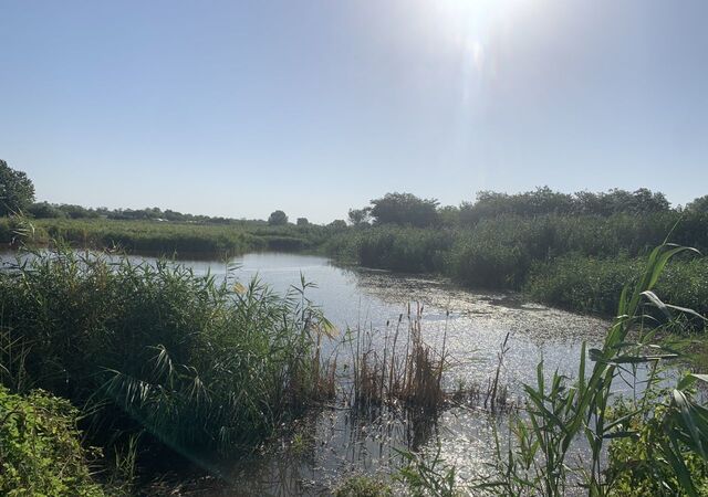 ул Южная Братковское сельское поселение, Новокорсунская фото