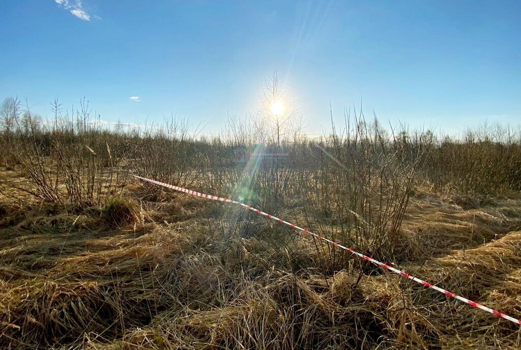 земля городской округ Наро-Фоминский д Шустиково фото 10