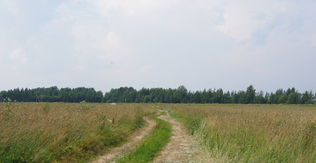 земля городской округ Клин д Губино днт Чистые пруды ул Тверская 70 км, Клин, Рогачёвское шоссе фото 4