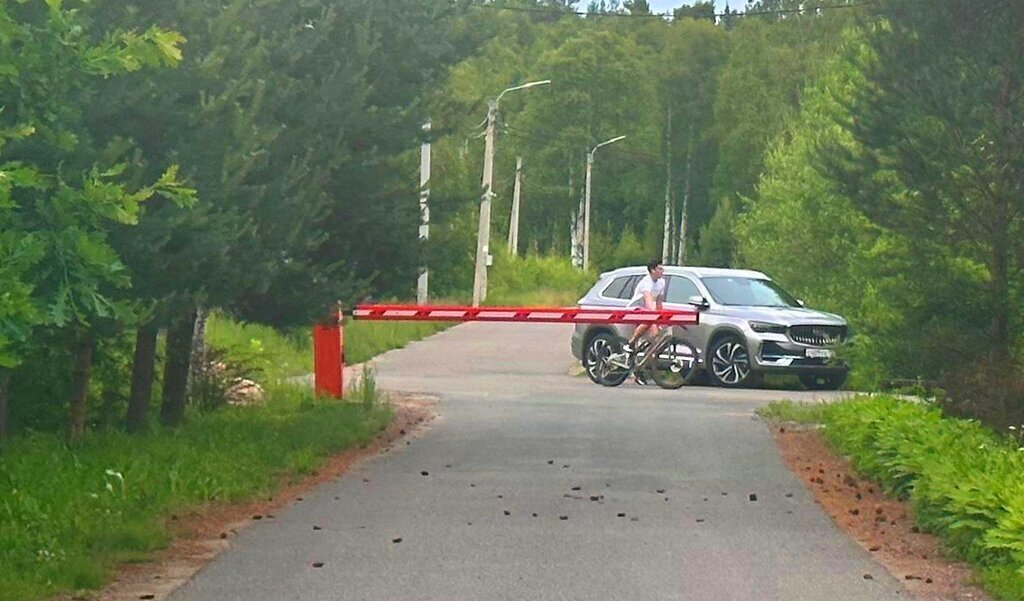 земля г Санкт-Петербург п Левашово ул Крайняя метро Парнас фото 6