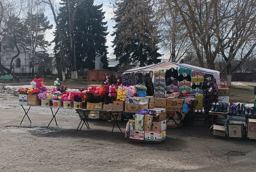 земля городской округ Ступино с Старое днп терБалакирево фото 10