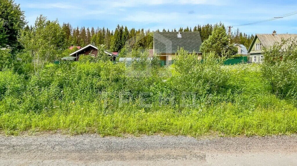 земля р-н Выборгский Рощинское городское поселение, садоводческое некоммерческое товарищество Лесовод, 81 фото 3