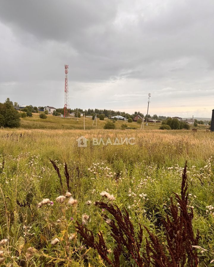 земля г Владимир с Мосино ул Дарницкая р-н Ленинский фото 3