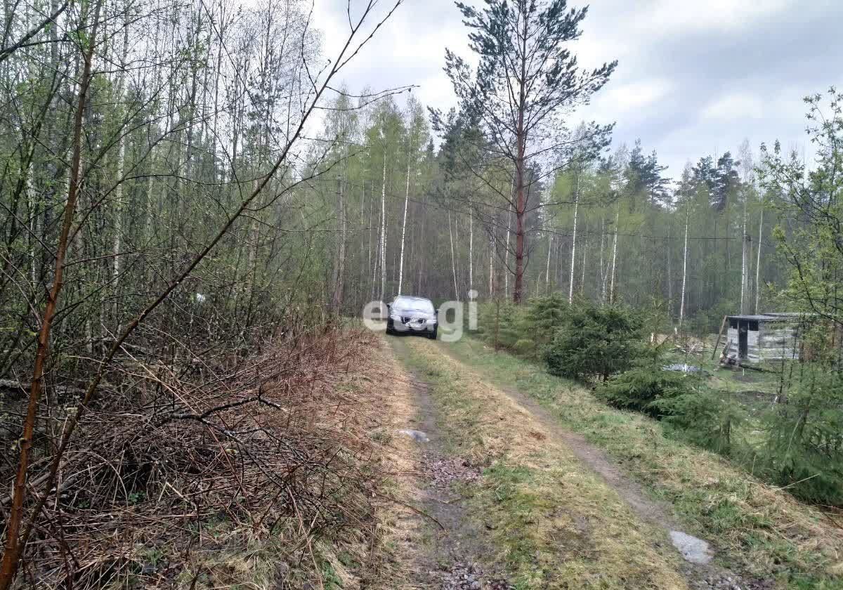 земля р-н Выборгский п Коробицыно ул Лесная Трасса Сортавала, 61 км, Мичуринское сельское поселение, садовое некоммерческое товарищество Карелия, Приозерский р-н фото 1