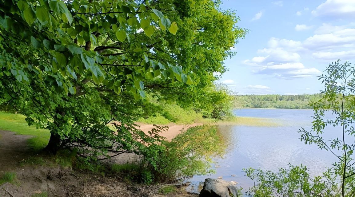 земля р-н Гатчинский с Орлино Орлино Парк кп, 8 фото 25