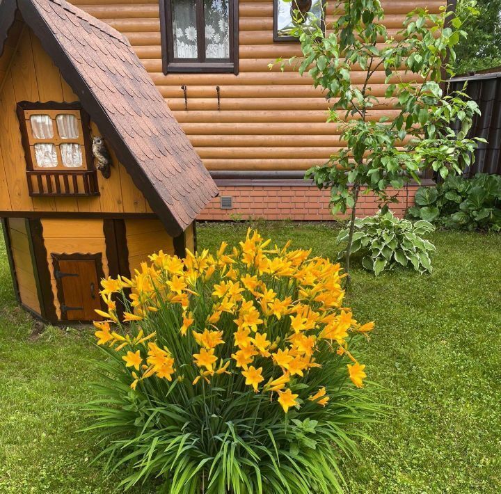 дом городской округ Дмитровский д Липино фото 17