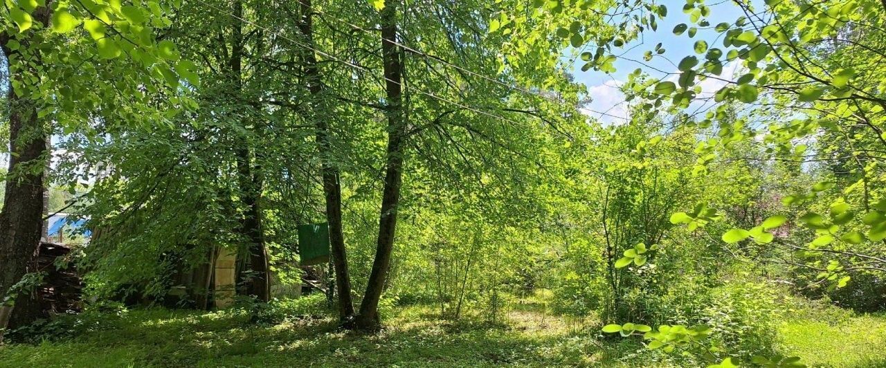 земля р-н Гатчинский Вырица городской поселок, Купчино, просп. Ленинградский фото 4