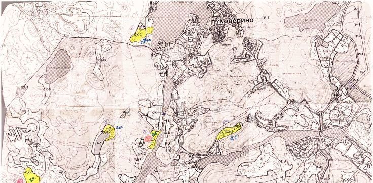 земля р-н Волосовский г Волосово Киевское шоссе, 55 км фото 22