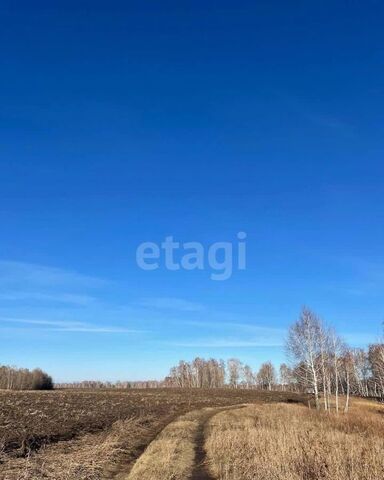 Быстровский сельсовет, Верх-Ирмень фото