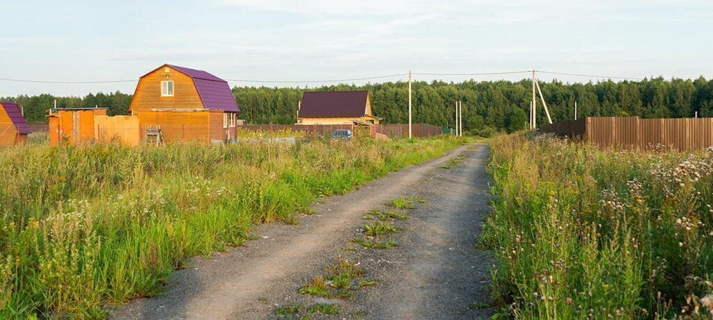 земля городской округ Клин д Губино днт Чистые пруды фото 1