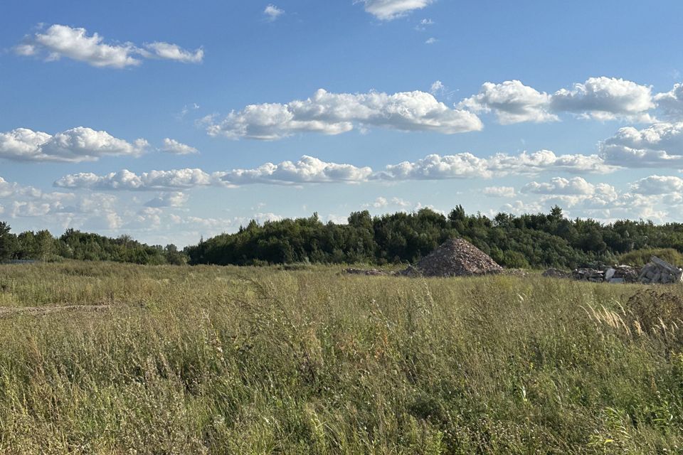 земля городской округ Балашиха, деревня Дятловка фото 1