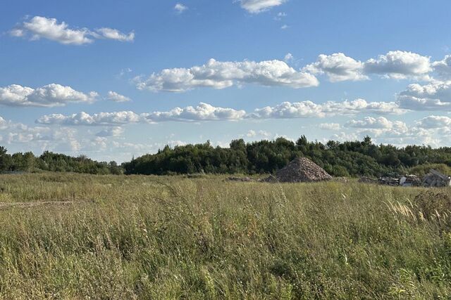 городской округ Балашиха, деревня Дятловка фото