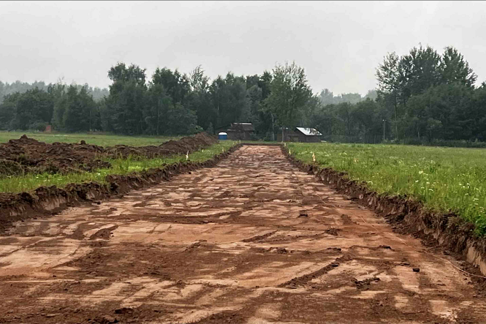 земля городской округ Пушкинский деревня Василёво фото 2