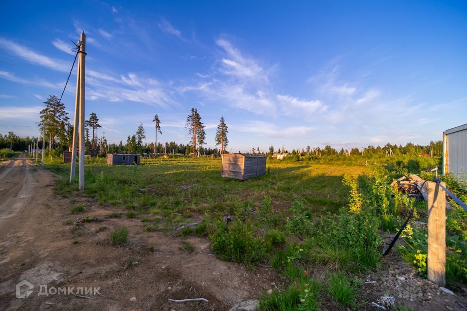 земля р-н Всеволожский фото 2