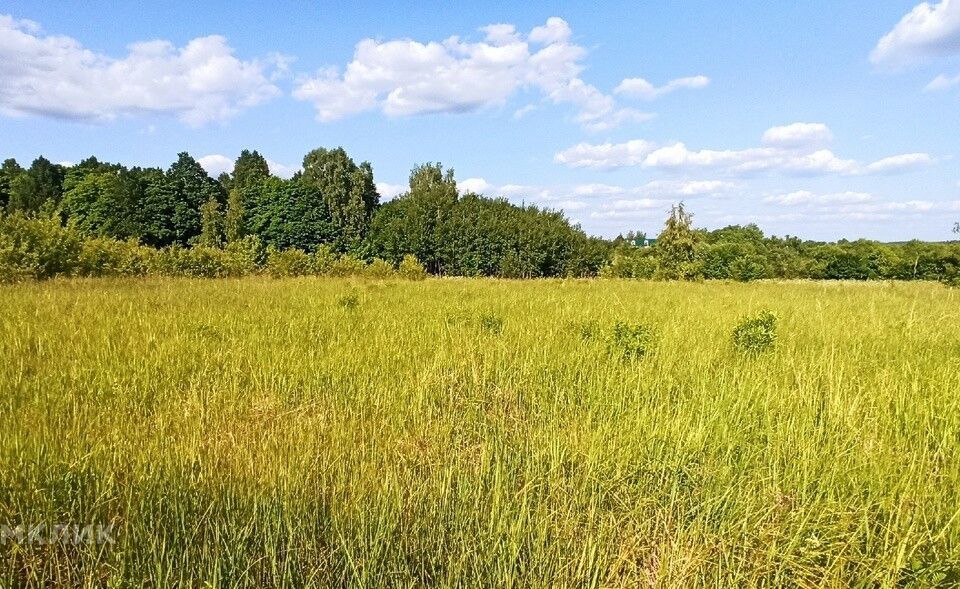 земля городской округ Кашира деревня Воскресенское фото 3