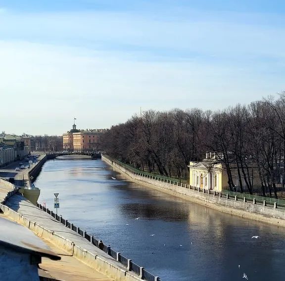 квартира г Санкт-Петербург метро Площадь Ленина наб Реки Фонтанки 4 округ Литейный фото 19