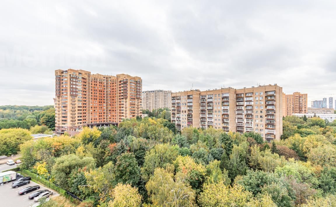 квартира г Москва метро Ломоносовский проспект ул Мосфильмовская 1а муниципальный округ Раменки фото 9