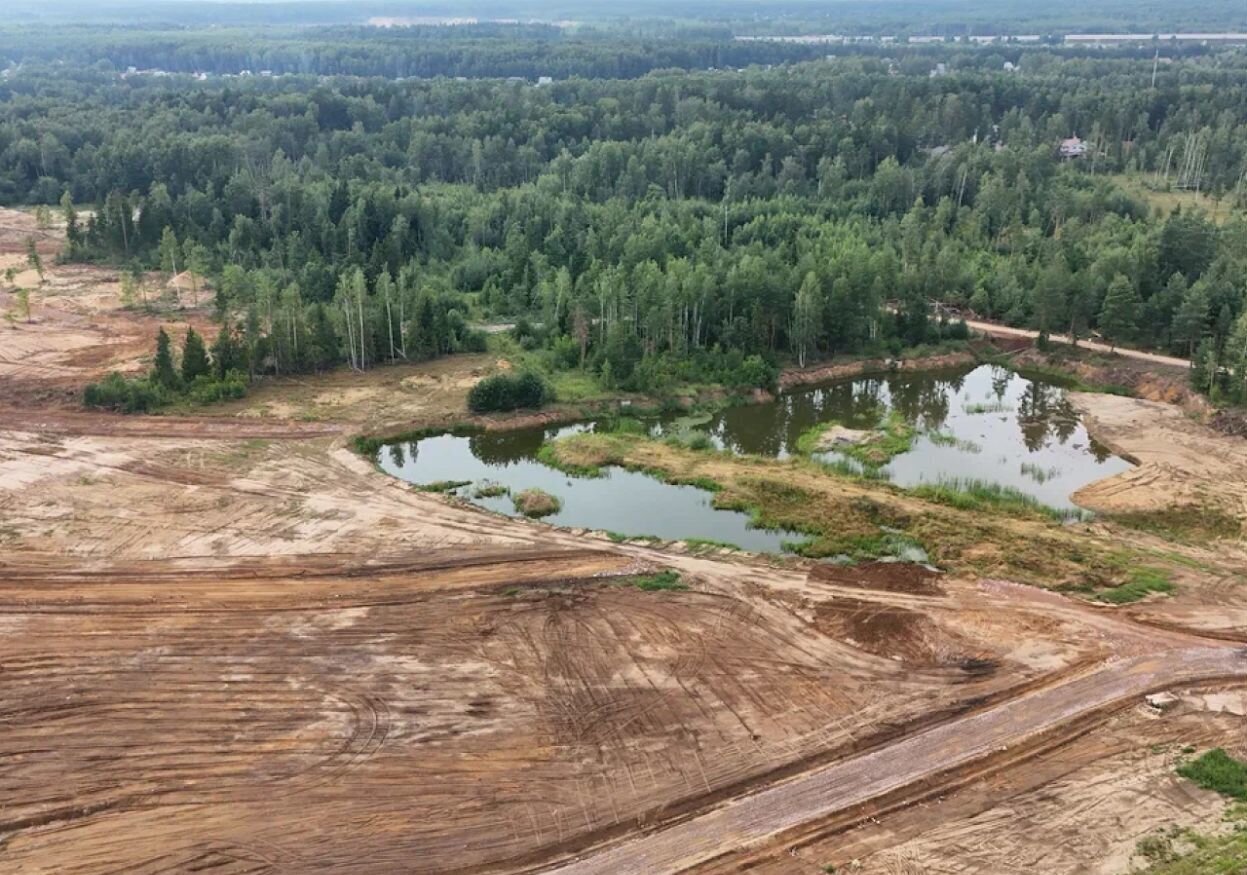 земля городской округ Богородский г Электроугли мкр Светлый 20 км, Носовихинское шоссе фото 11