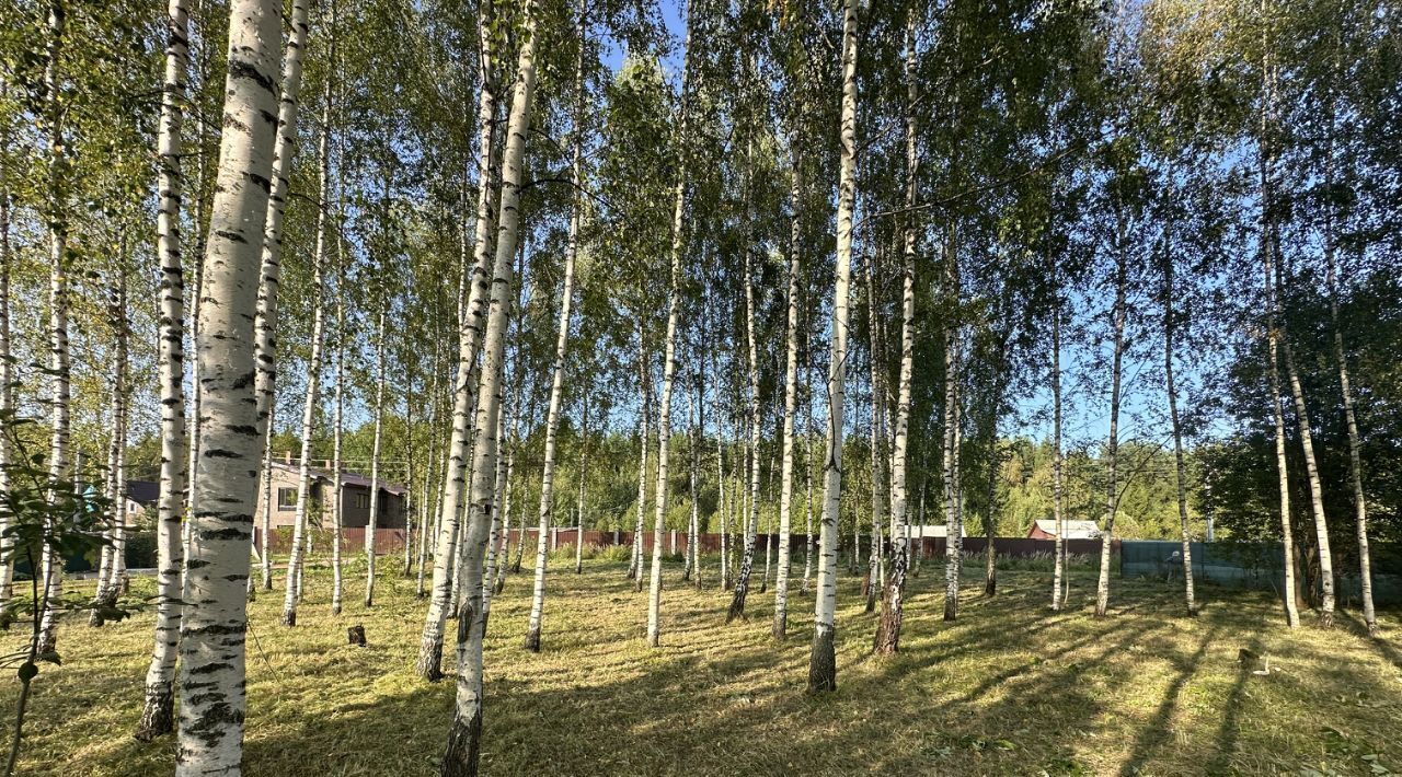 земля городской округ Сергиево-Посадский г Краснозаводск туп Кленовый фото 4