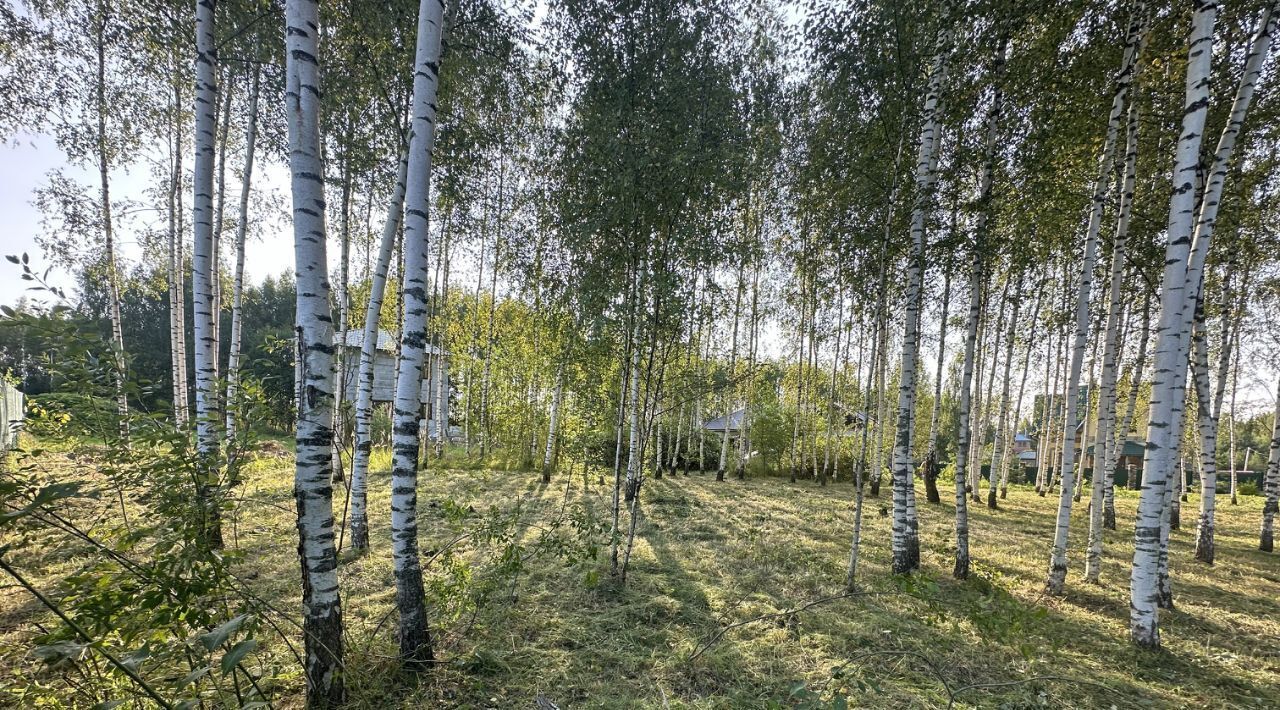 земля городской округ Сергиево-Посадский г Краснозаводск туп Кленовый фото 15