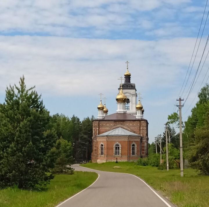 земля городской округ Орехово-Зуевский д Яковлево фото 17