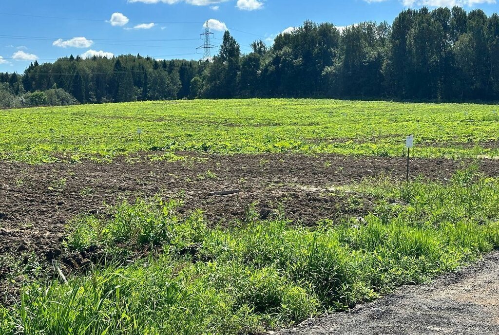 земля городской округ Клин д Золино ул Цветочная фото 4