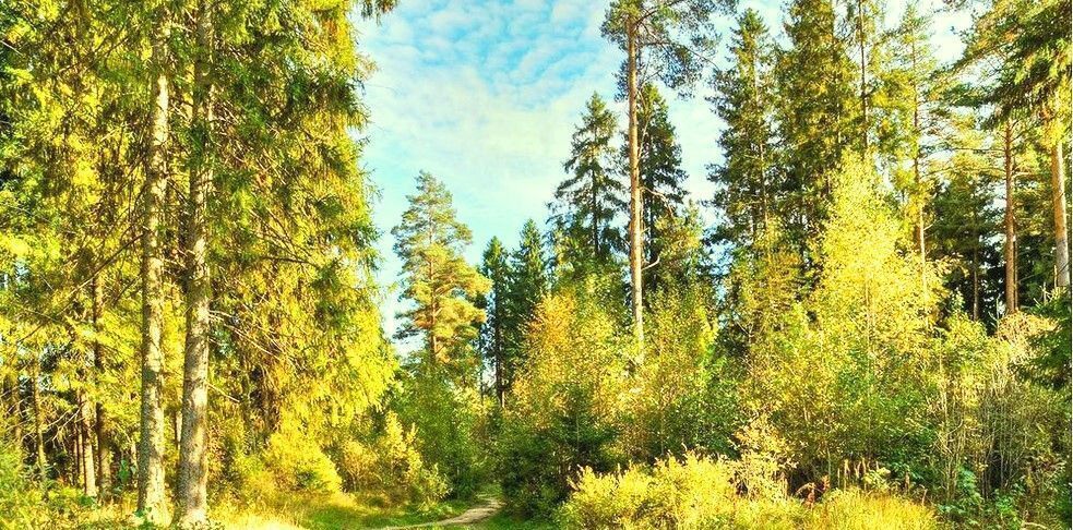 земля городской округ Домодедово КП «Ивушкино», Живописная улица фото 2