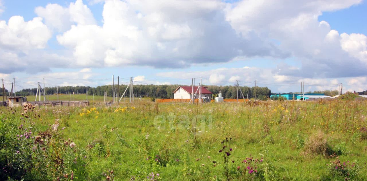 земля р-н Сосновский с Кайгородово ул Светлая Алишевское с/пос, Романовское Поместье кп фото 3