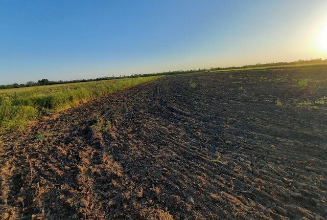 ул Полевая муниципальное образование Краснодар фото