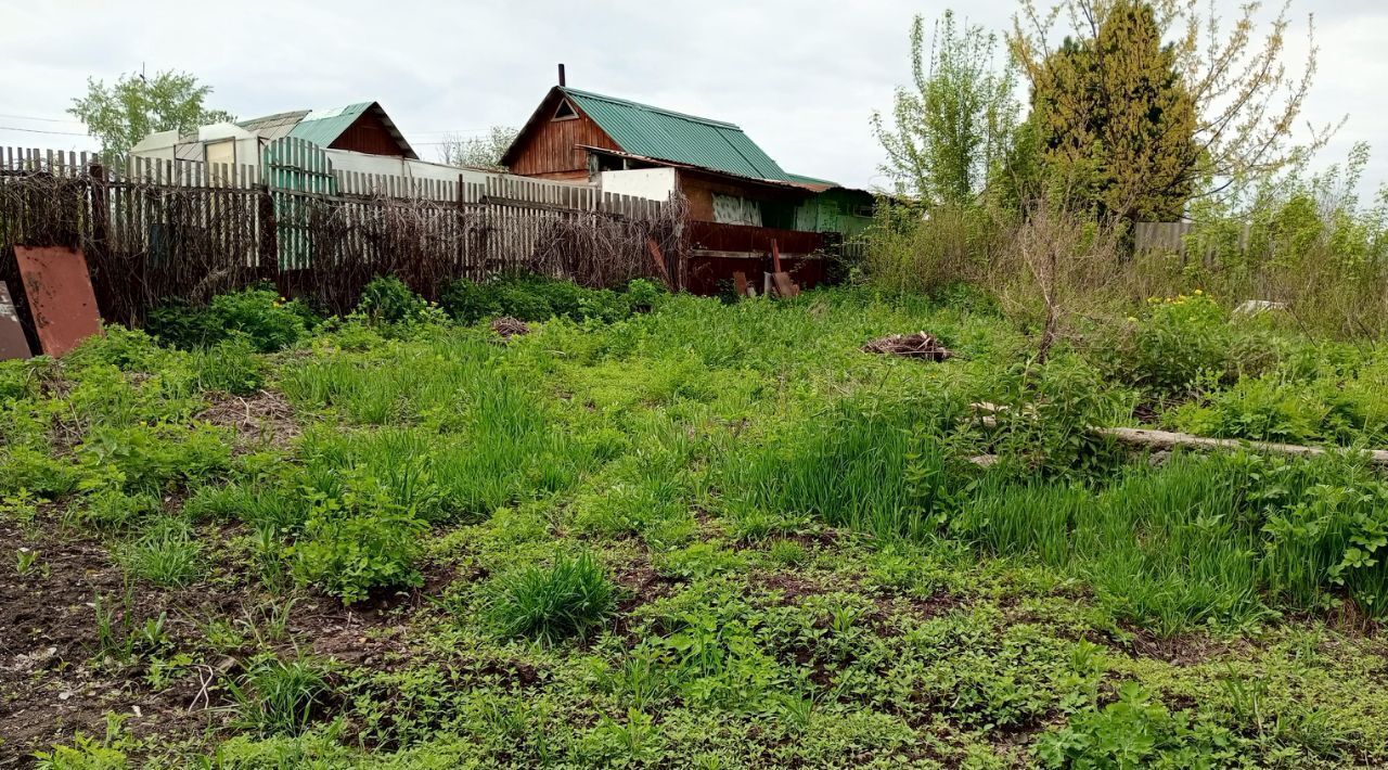 земля р-н Искитимский снт Бердь 117, Бердск городской округ фото 3