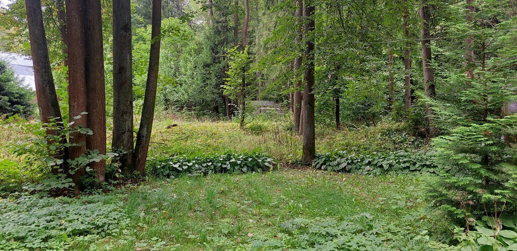 земля городской округ Сергиево-Посадский с Абрамцево ул Александрова фото 4