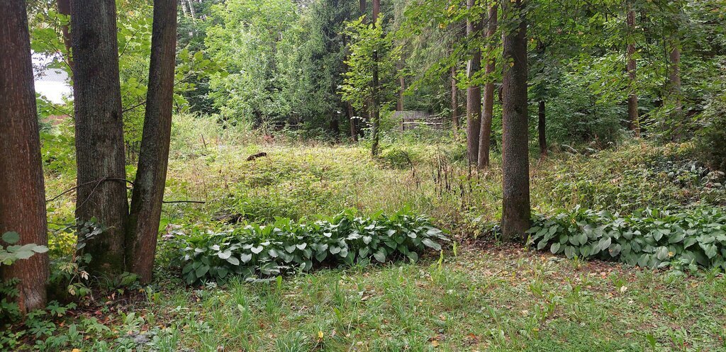 земля городской округ Сергиево-Посадский с Абрамцево ул Александрова фото 8