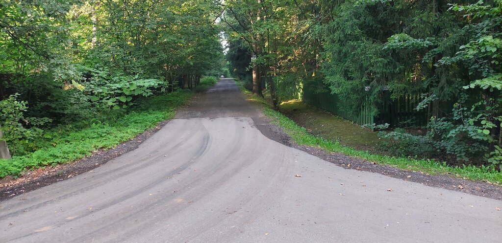 земля городской округ Сергиево-Посадский с Абрамцево ул Александрова фото 11