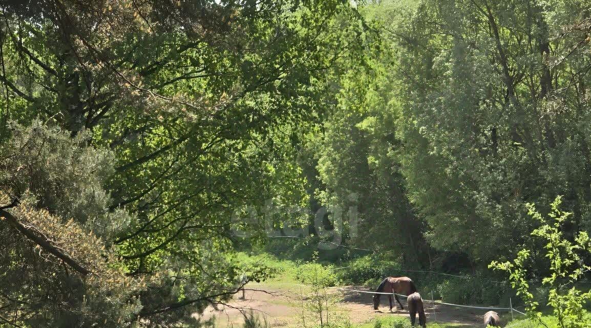 дом г Домодедово д Ивановка Еловый бор кп фото 10