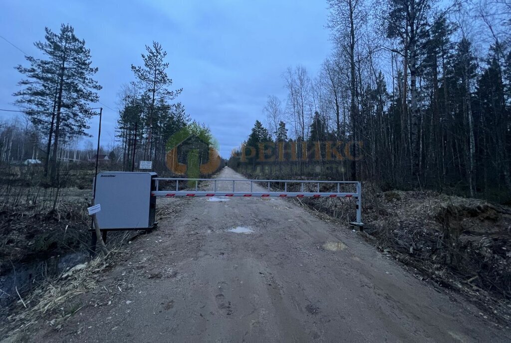 земля р-н Выборгский снт Парус Мгинское городское поселение, садовое товарищество Славянка фото 11