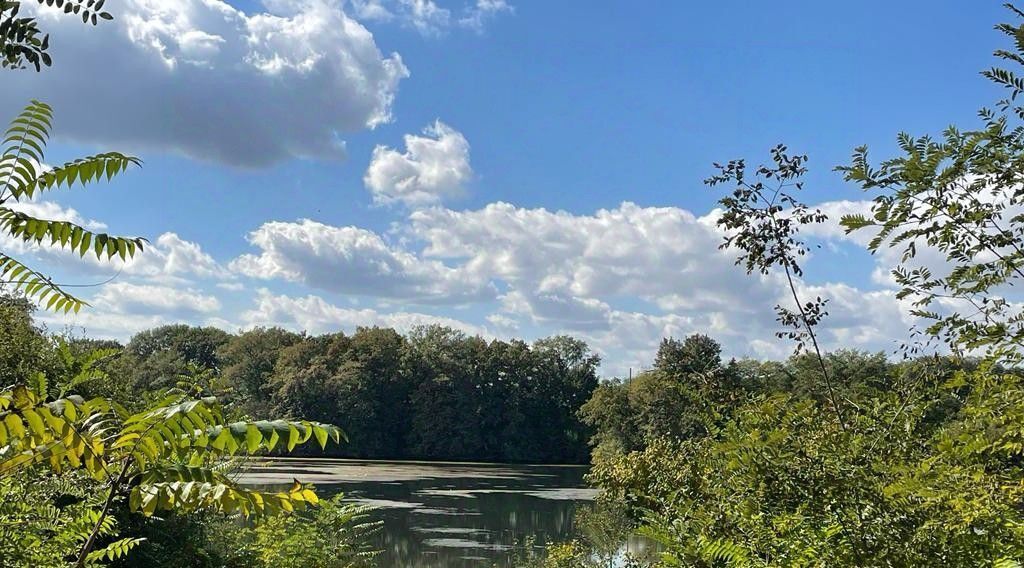 земля р-н Ардонский п Бекан Ардонское городское поселение фото 1