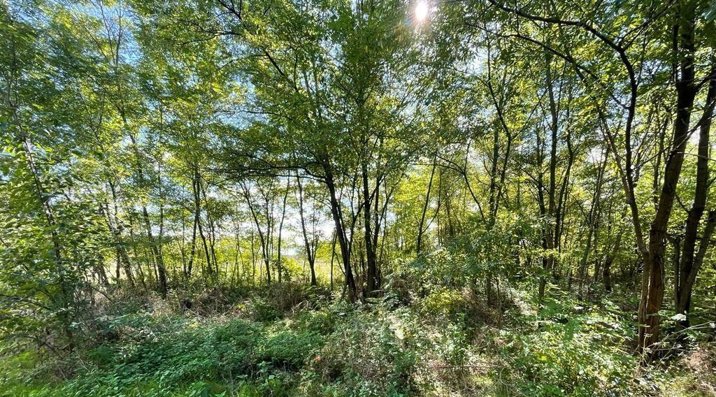 земля р-н Ардонский п Бекан Ардонское городское поселение фото 3