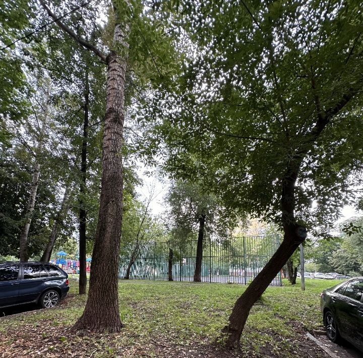 квартира г Москва метро Новогиреево ул Молостовых 12 муниципальный округ Ивановское фото 3