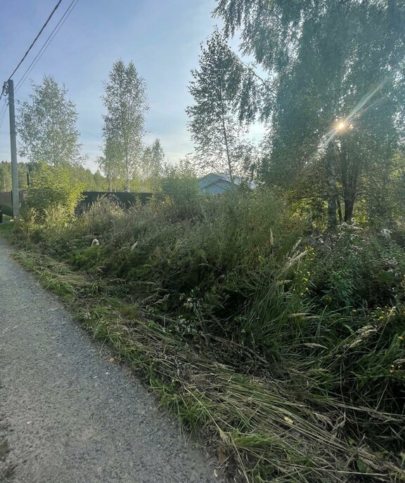 земля городской округ Мытищи с Марфино ул Преображенская 19 Лобня фото 2