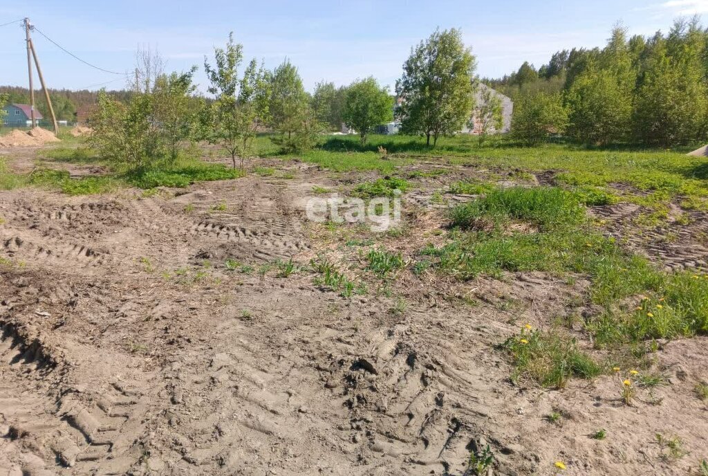 земля р-н Приозерский д Васильево Красноозёрное сельское поселение фото 3