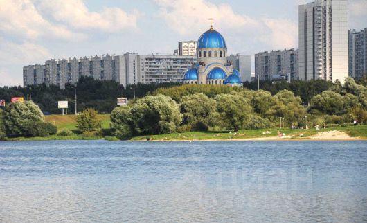 квартира г Москва ЮАО Братеево ул Борисовские Пруды 16/3 Московская область фото 34