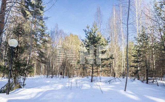 земля 18 км, ДСК Саланг, Красногорск, Ильинское шоссе фото