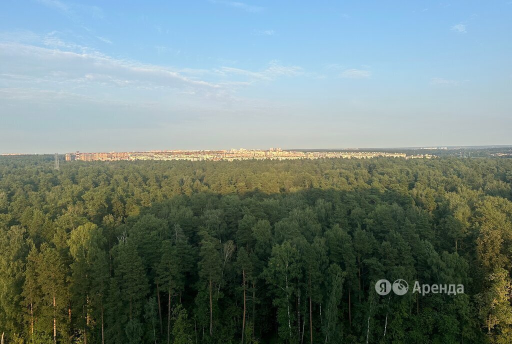 квартира городской округ Ленинский д Боброво ул Лесная 18 Бутово фото 12